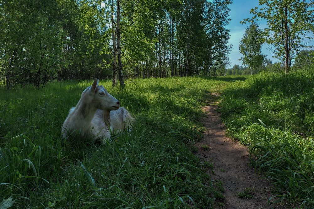 Photograph by Александр