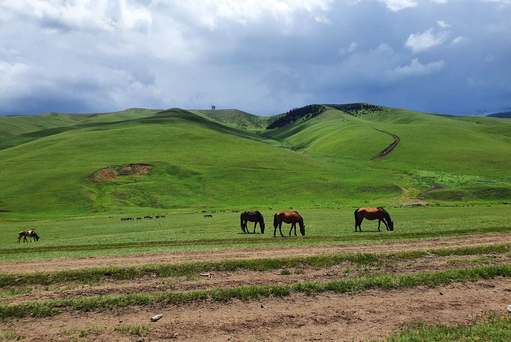 Photograph by Лия Яковлева