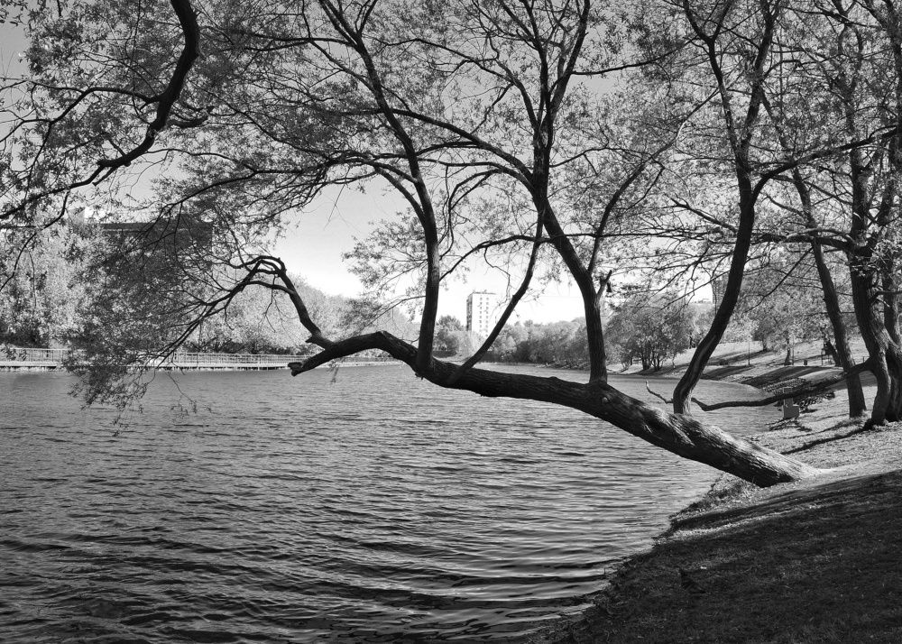 Photograph by Наталья Сафронова