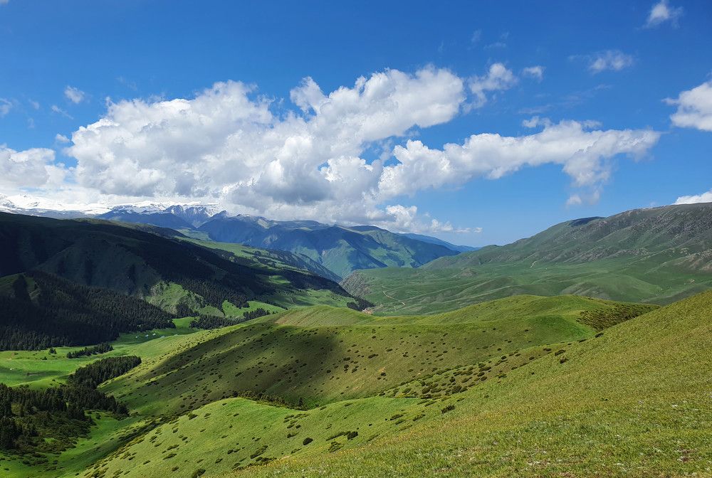 Photograph by Лия Яковлева