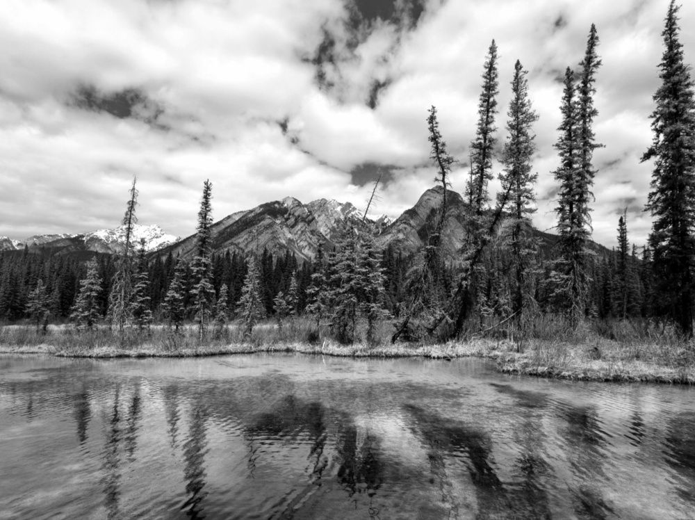 Photograph by Александр Лопатин