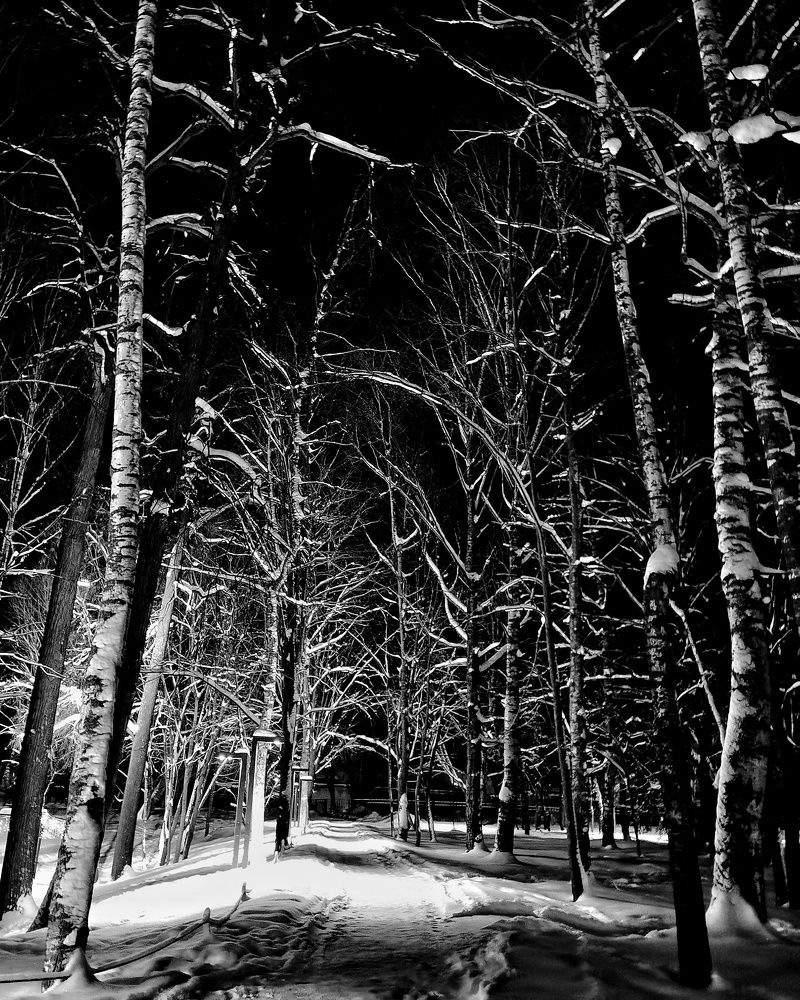 Photograph by Наталья Сафронова