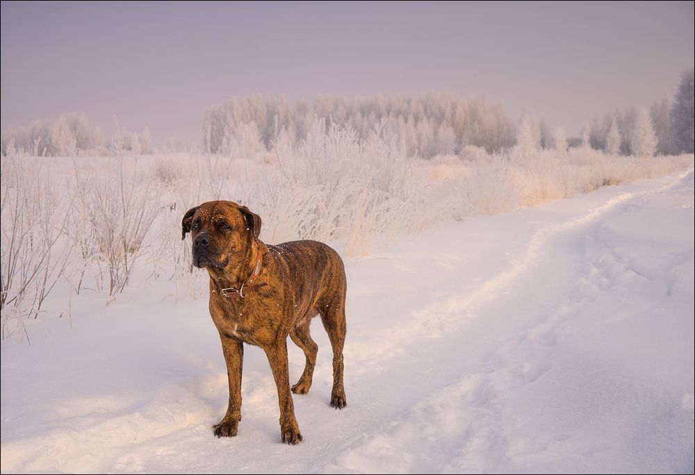 Photograph by Елена Потемина