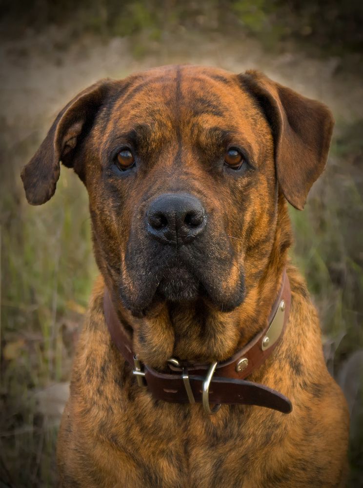 Photograph by Елена Потемина