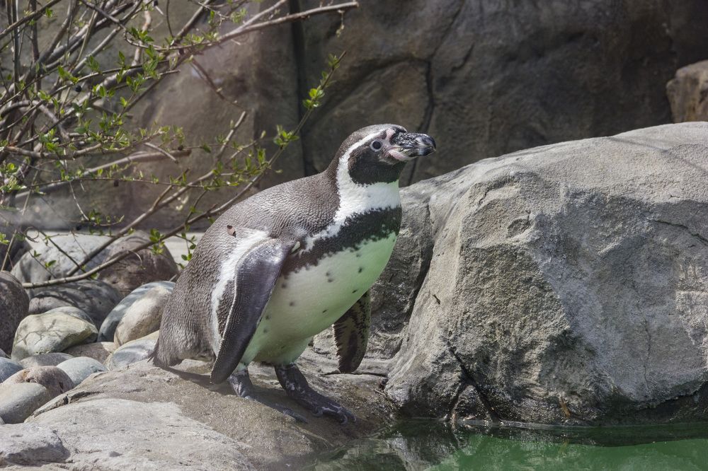 Photograph by Anna Gapanovich