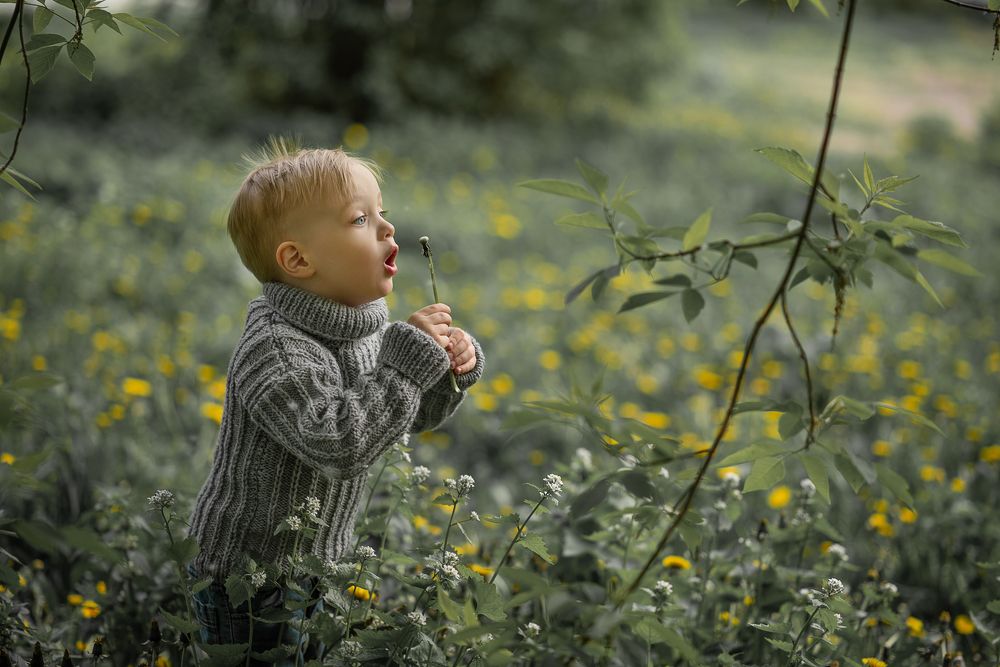 Photograph by Боровикова Анна