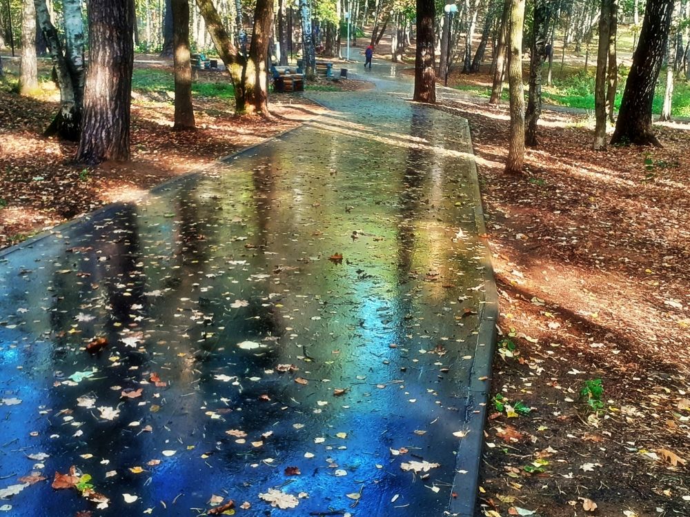 После дождя