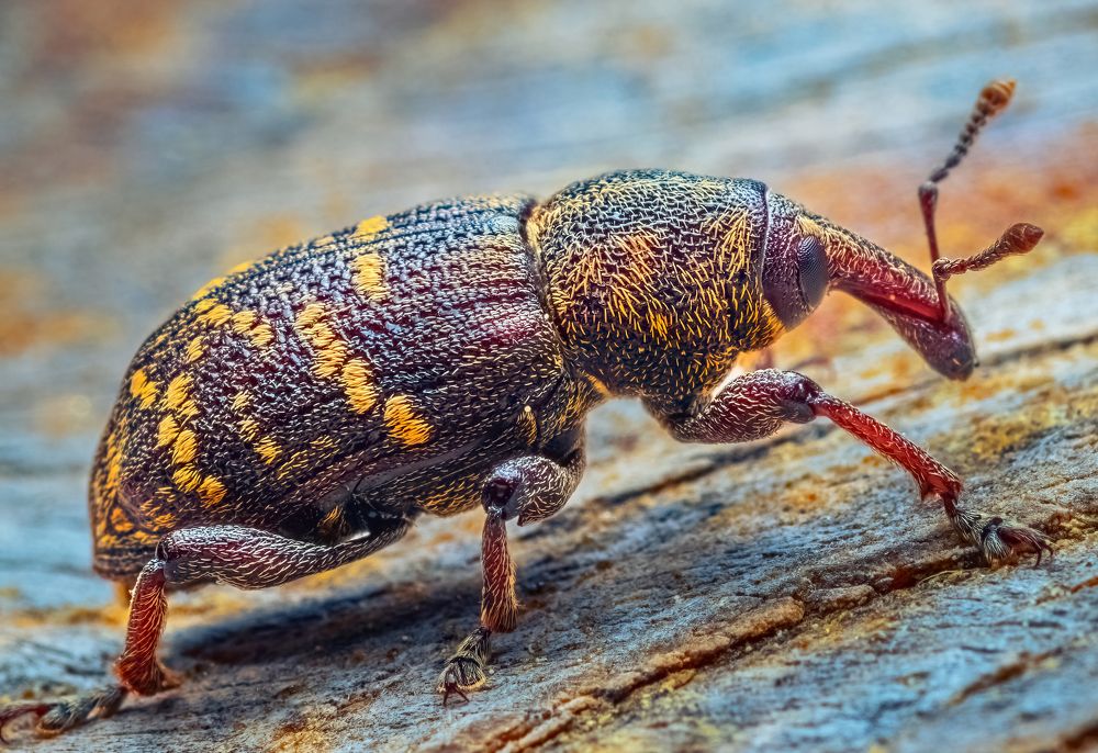 Photograph by Парфентьев Антон