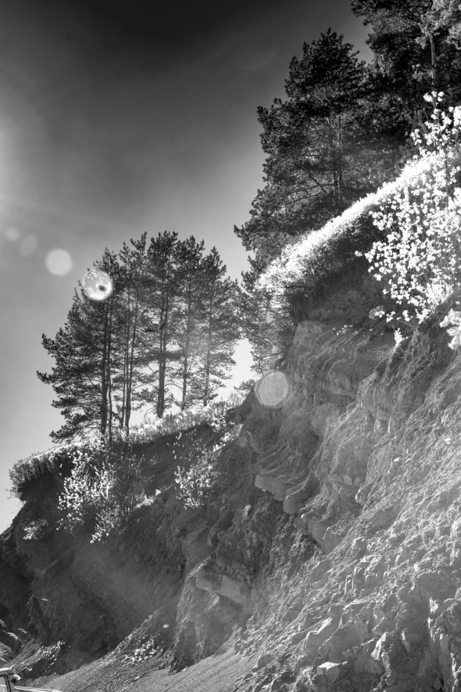 Photograph by Михаил Лавренков