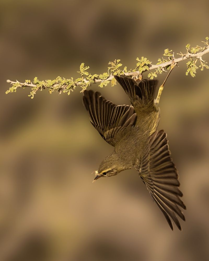 Photograph by Seeja Sadath