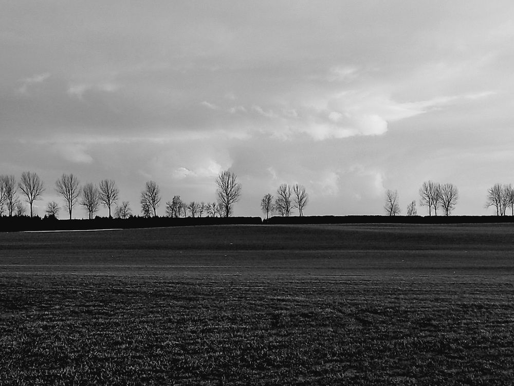 Photograph by Алексейчик Дмитрий