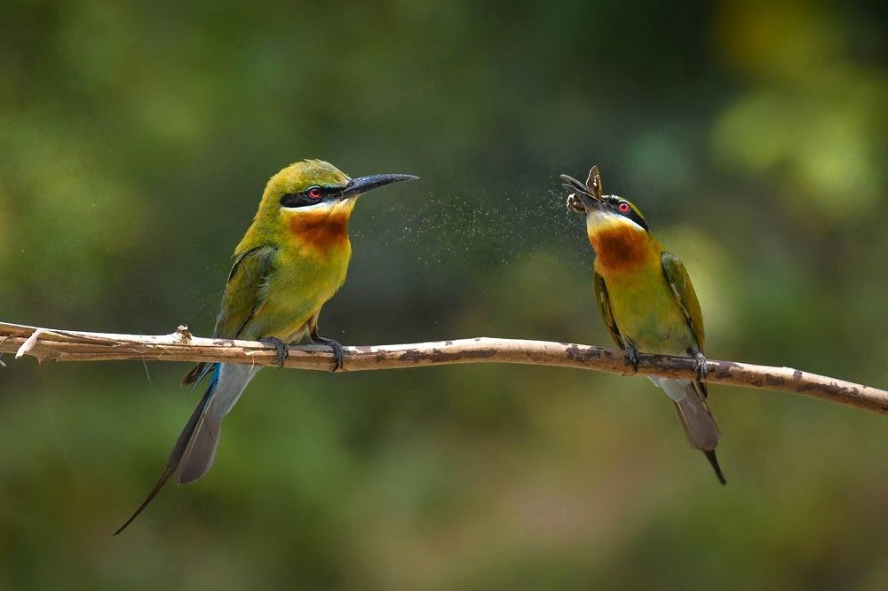 Photograph by DEBJYOTI MONDAL