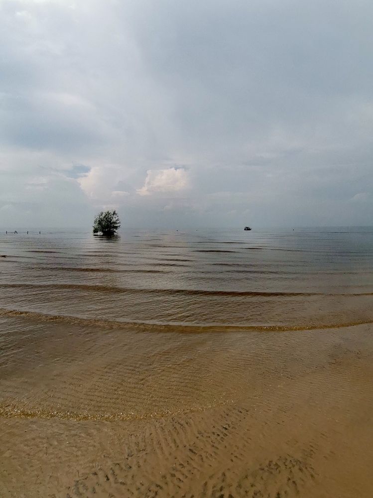 Photograph by Людмила