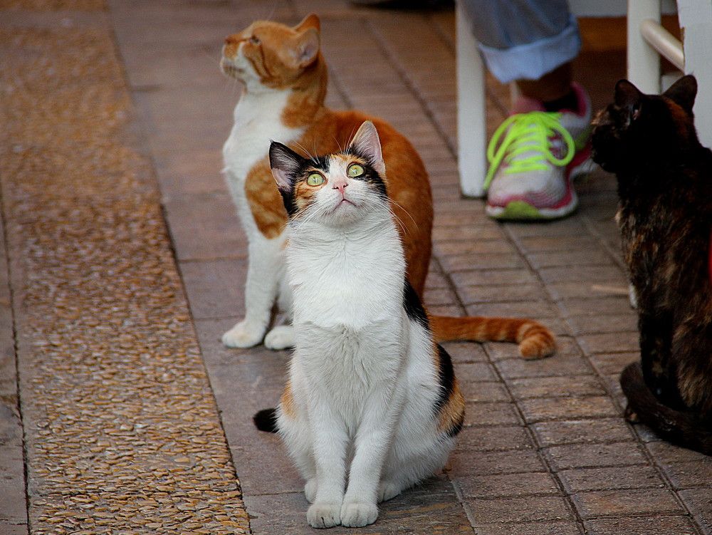 Photograph by Anna Perevozchikova