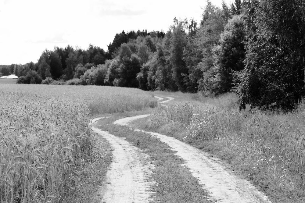 Photograph by Алексейчик Дмитрий