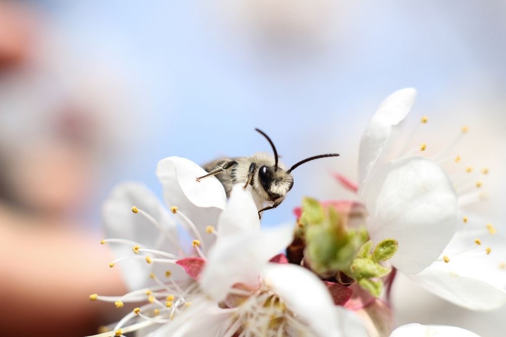Фотография автора Артём