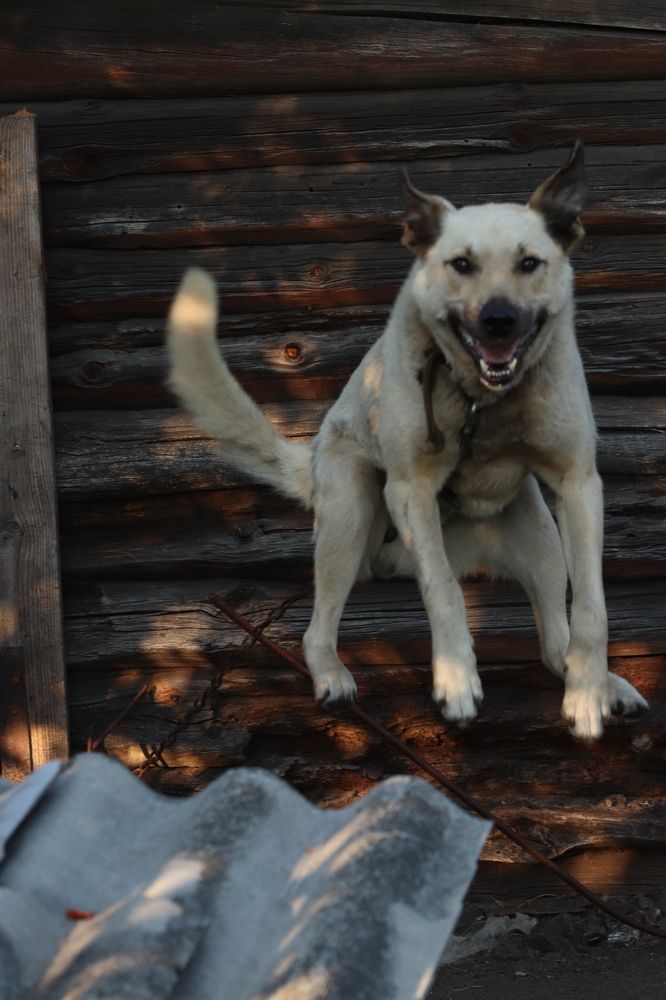 Photograph by Алексейчик Дмитрий