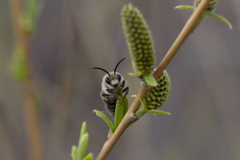 Фотография автора Артём