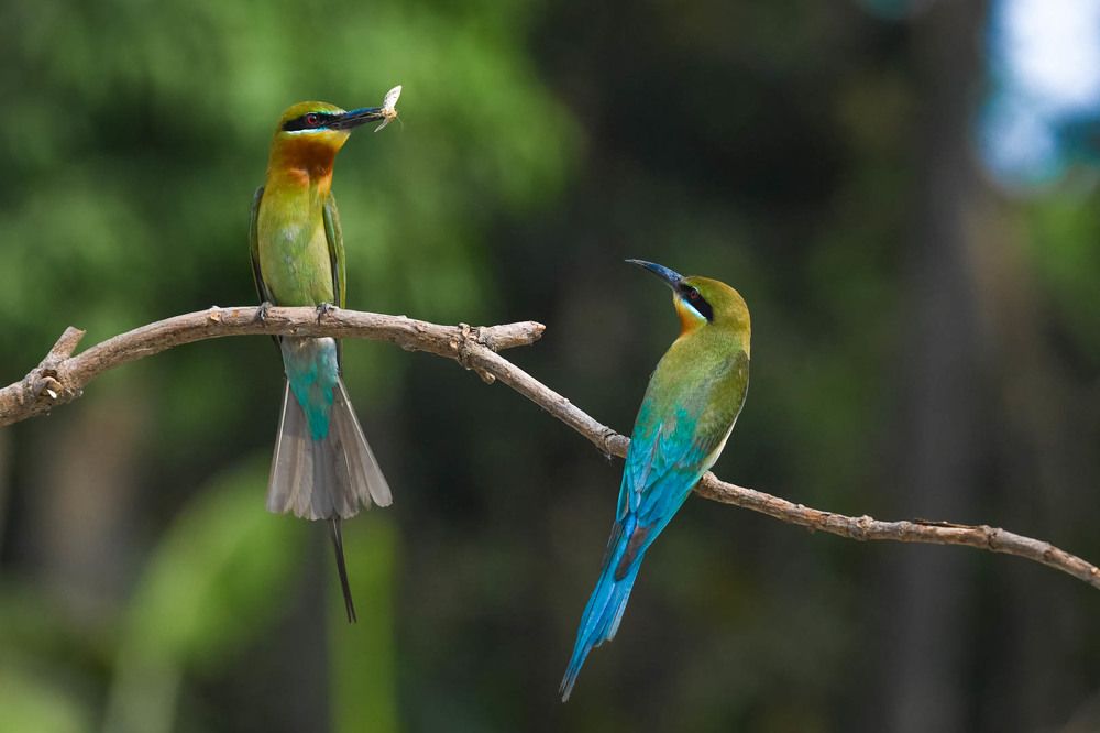 Photograph by DEBJYOTI MONDAL