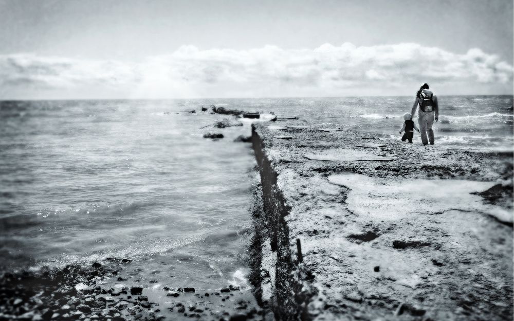 Photo #7636605