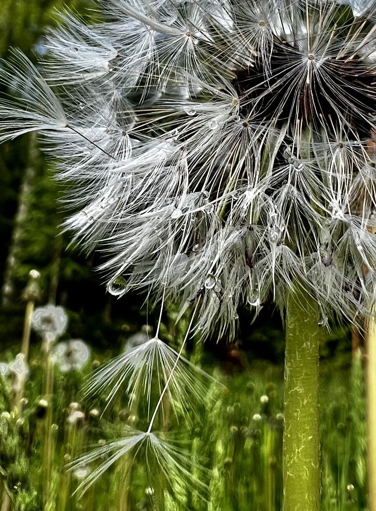Photograph by Надежда Золотарёва