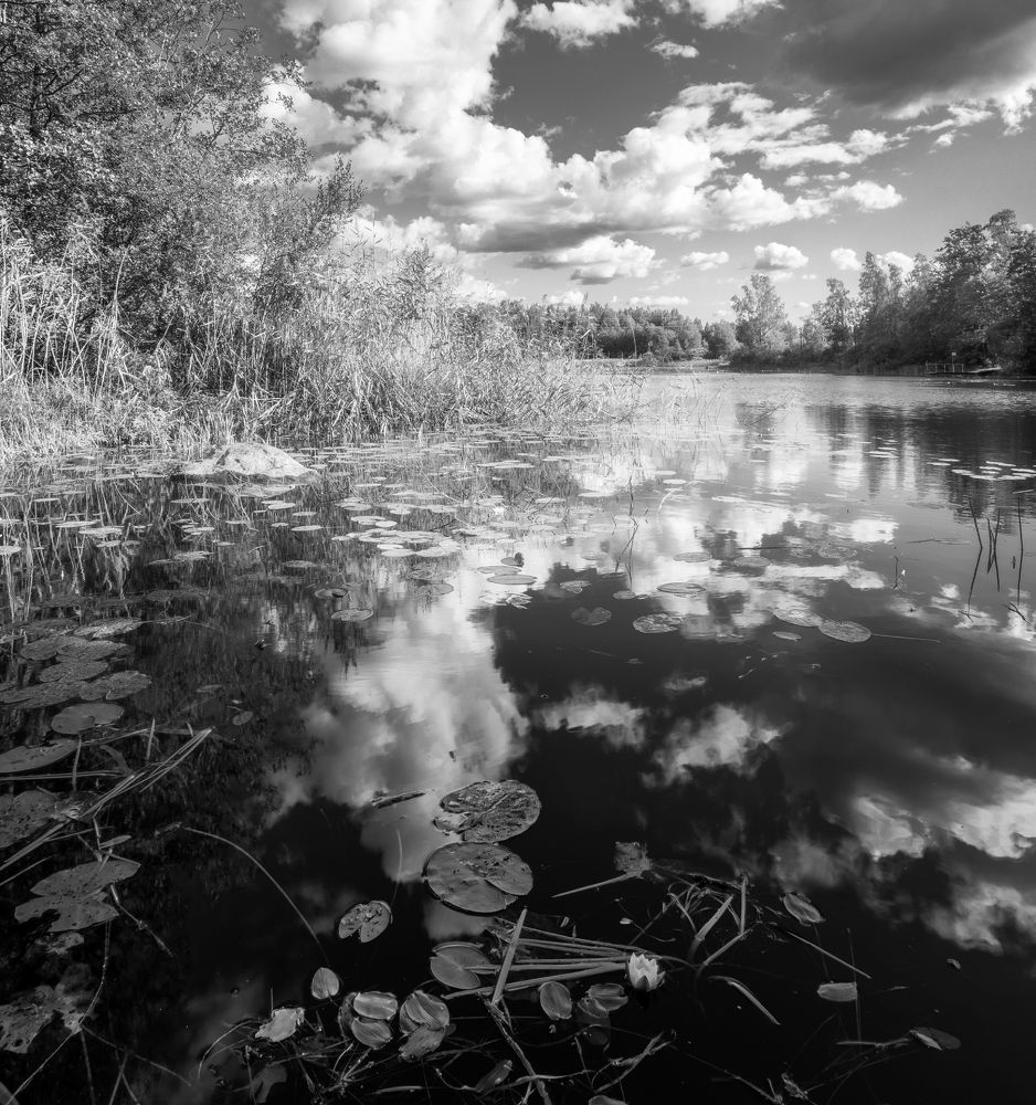 Фотография автора Евгений Кузнецов