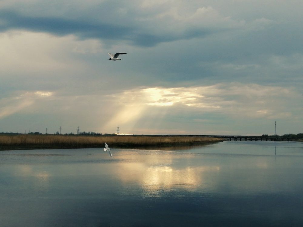 Photograph by Светлана Фокина