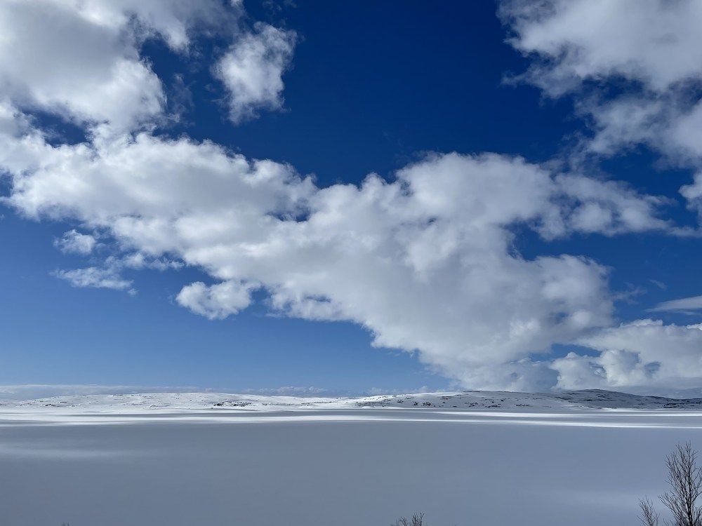 Photograph by Светлана Ржевская