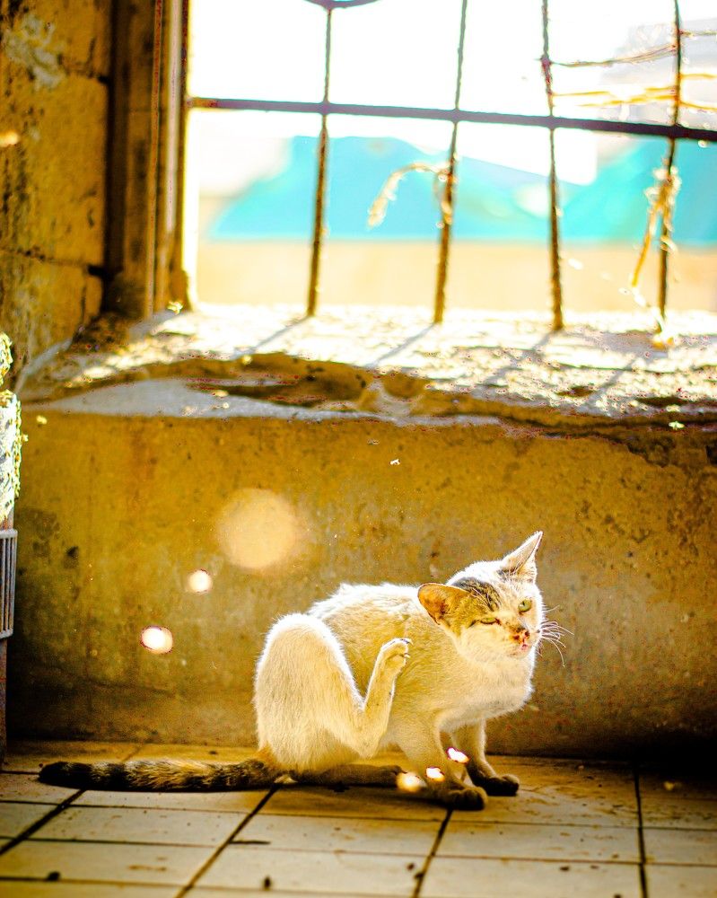 Photograph by Uzair Ahmed Memon