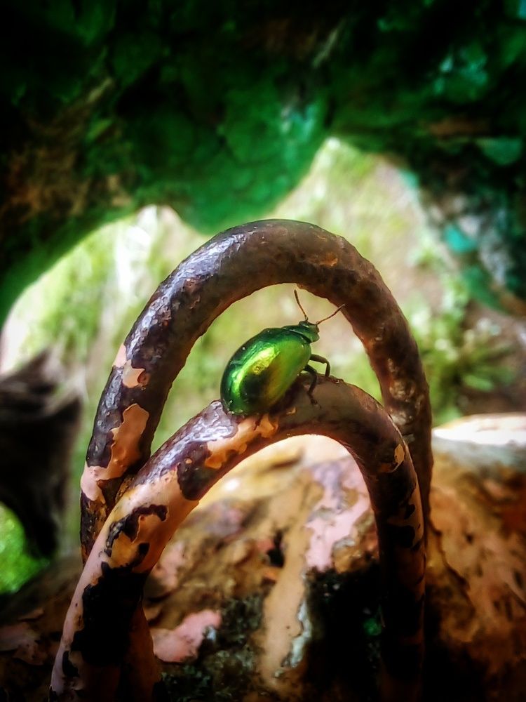 Photograph by Оксана Новосад