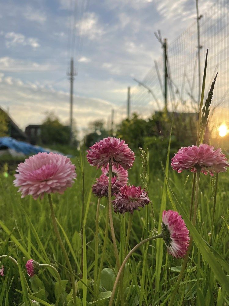 Photograph by Светлана Ржевская