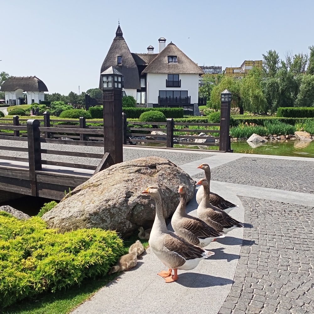 Photograph by Адамян Анна