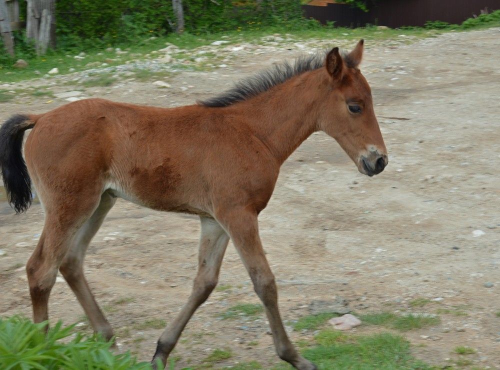 Photograph by Ольга Шевцова