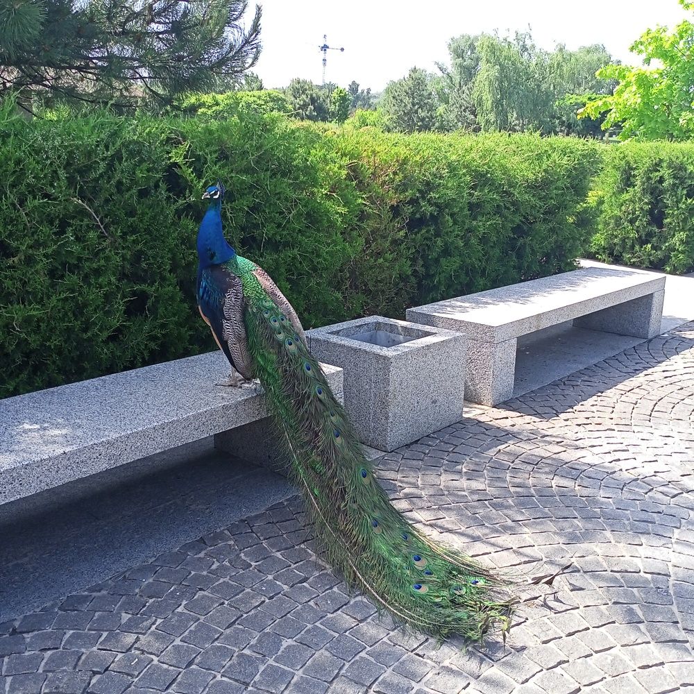 Photograph by Адамян Анна