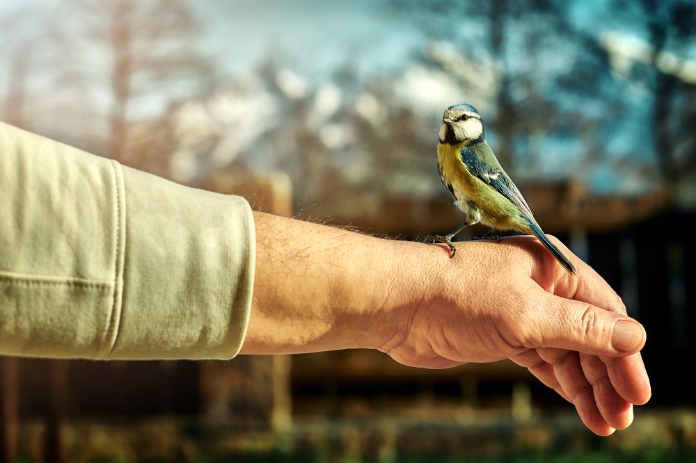 Photograph by Дмитрий Полянский