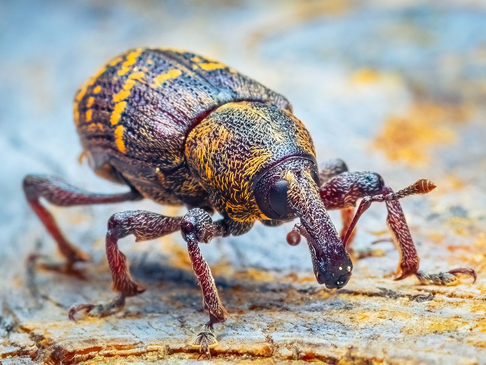 Photograph by Парфентьев Антон