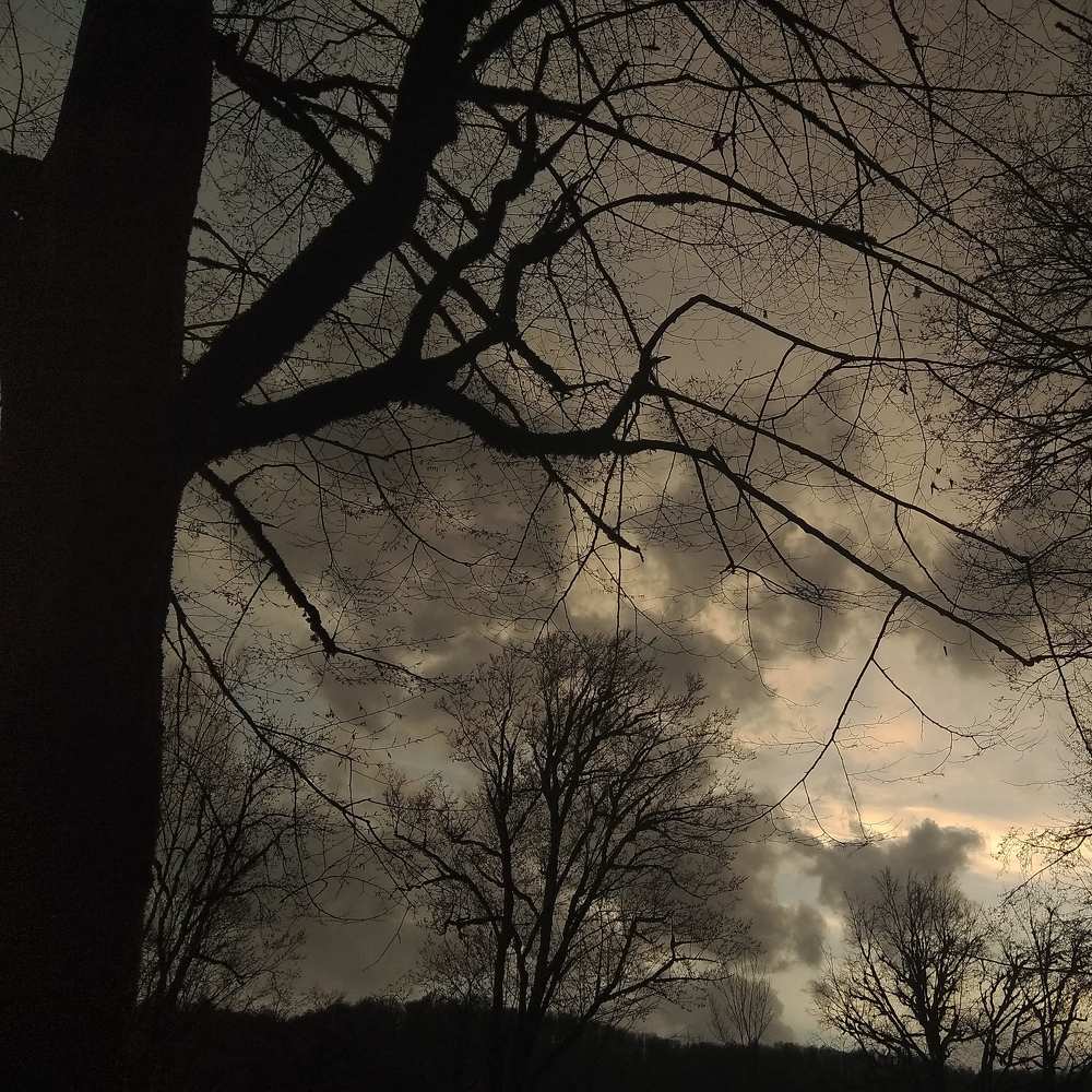 Photograph by Mani Mojaveri