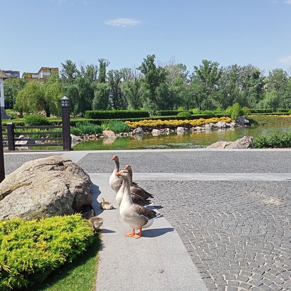 Photograph by Адамян Анна