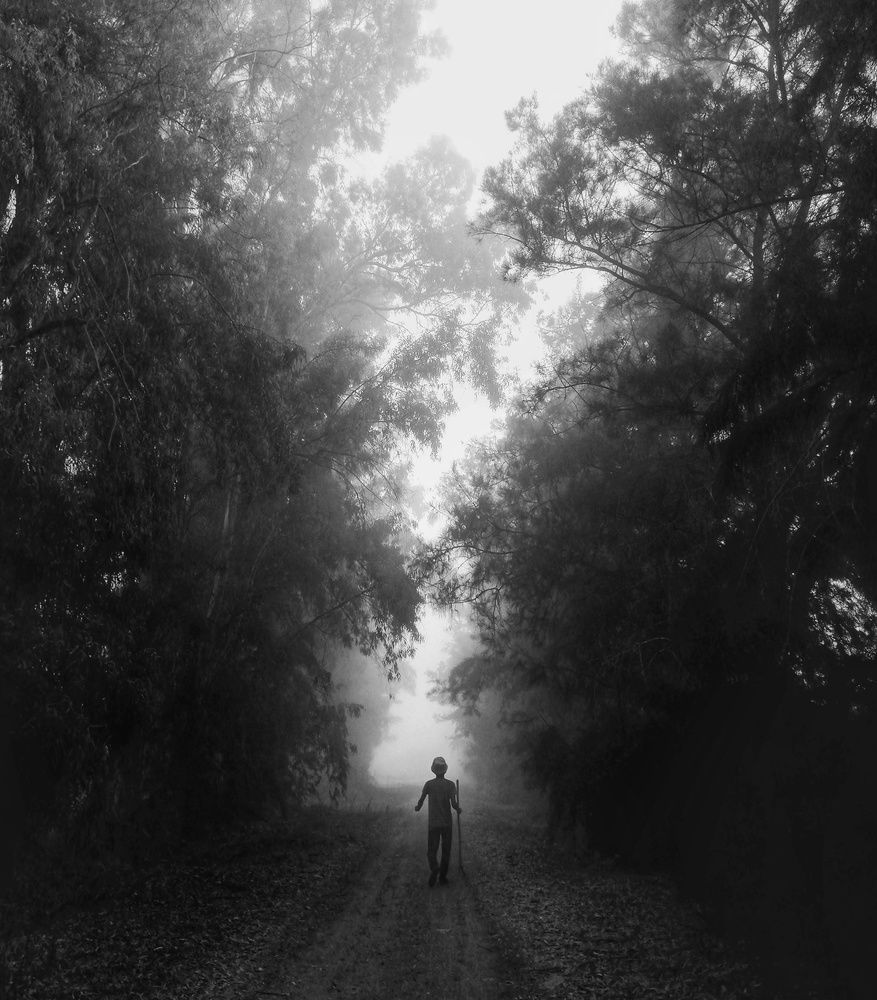 The Road