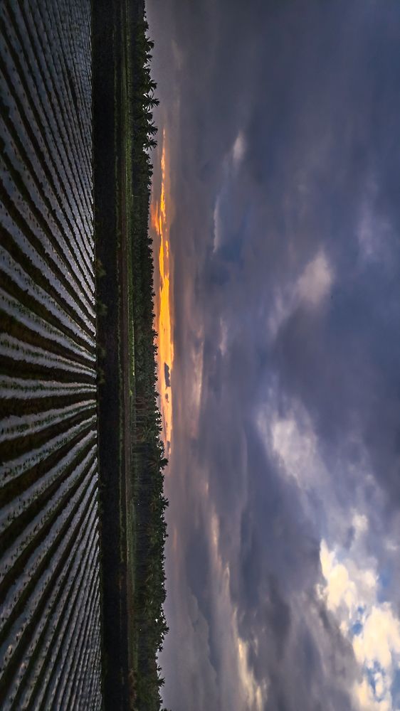 Photograph by sandhya kudli