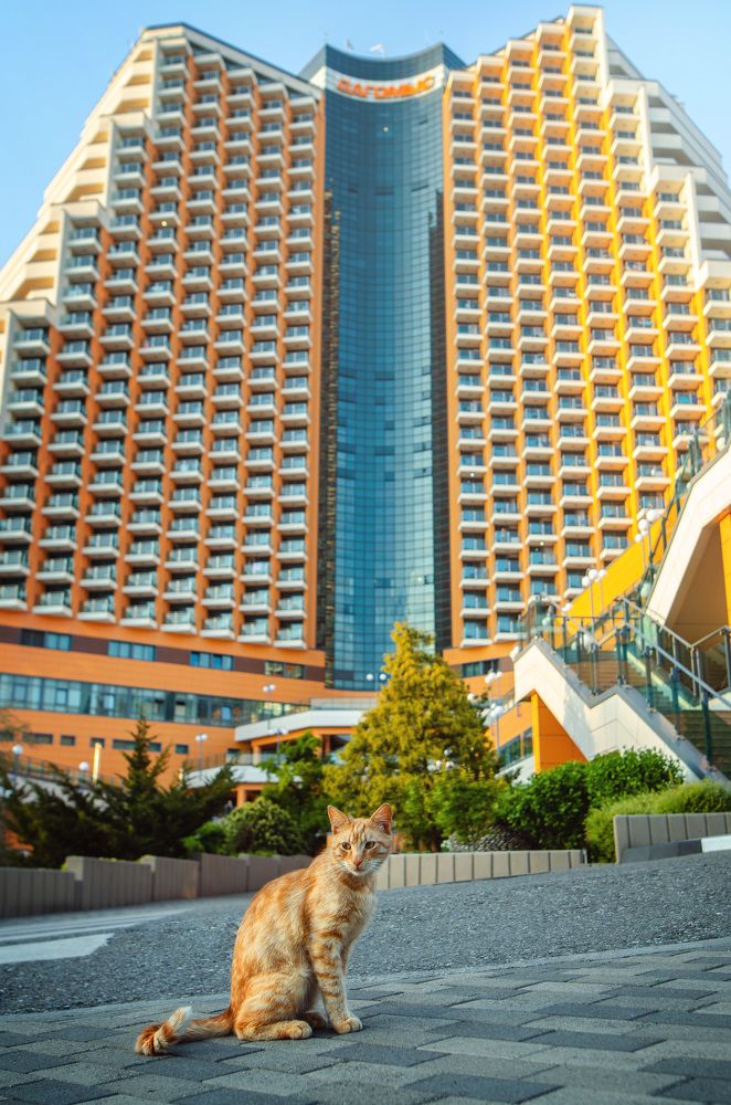 Photograph by Дмитрий Полянский