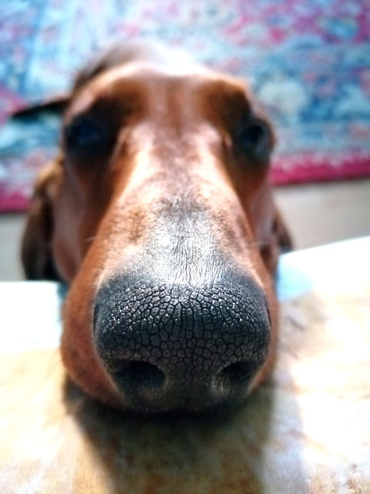 Photograph by Светлана Веселовская