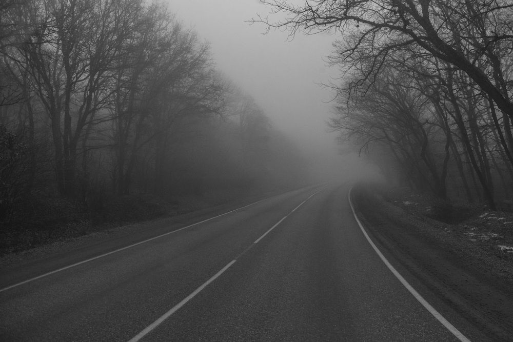 Photograph by Дмитрий Полянский