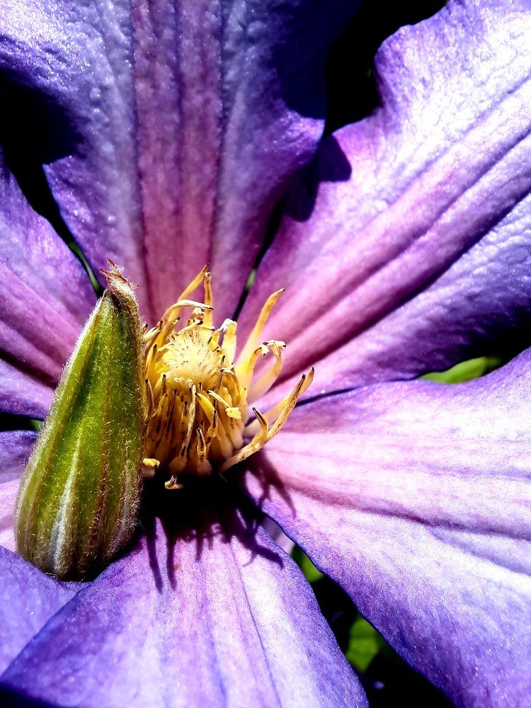 Photograph by Дмитрий Черкашин