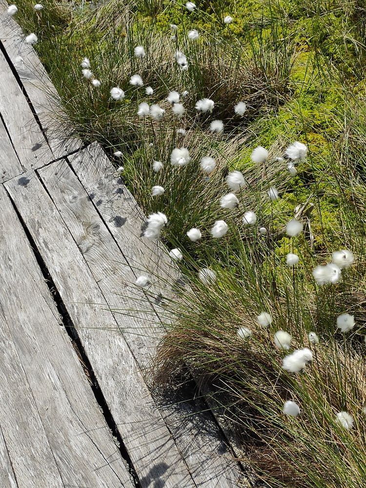 Photograph by Ирина Русинович