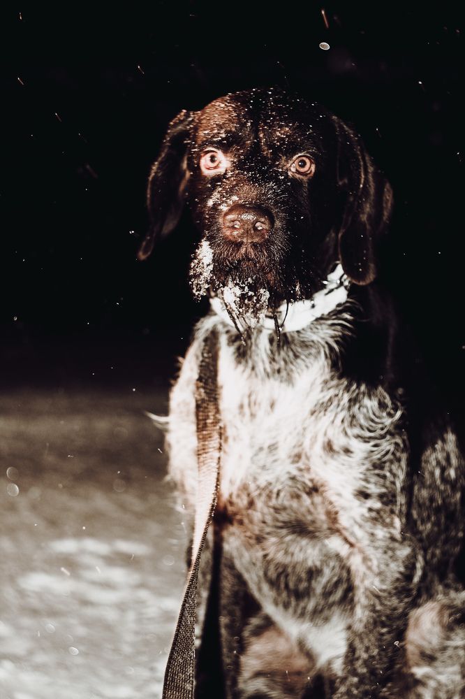 Photograph by Вигдис