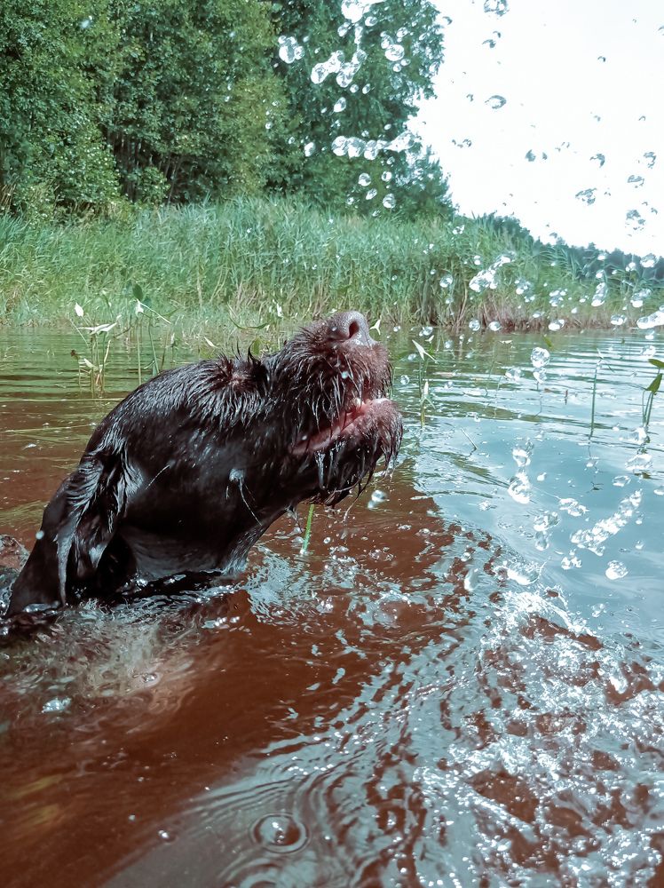 Photograph by Вигдис