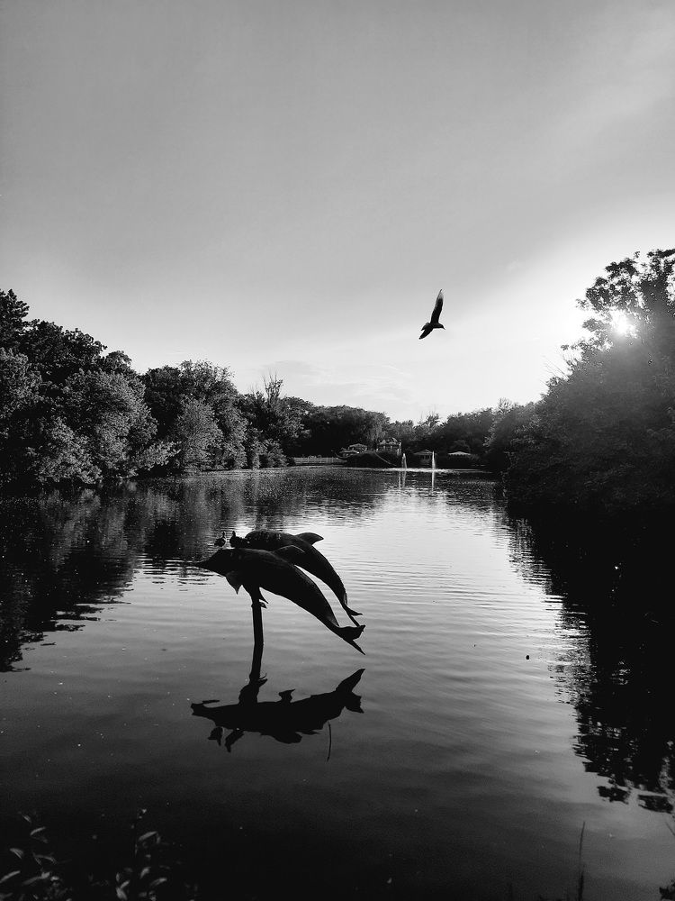 Photograph by Дмитрий Черкашин