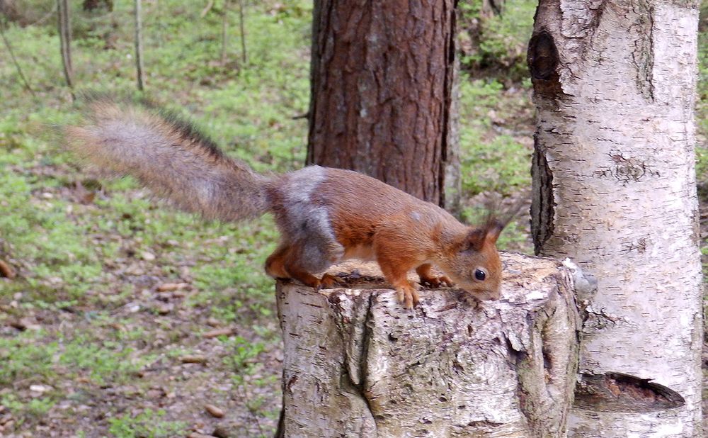 Photograph by Ирина Арканова