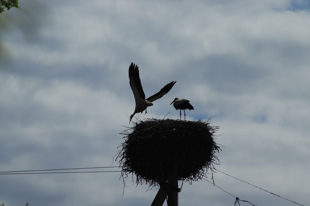 Photograph by Иван Скрипкин